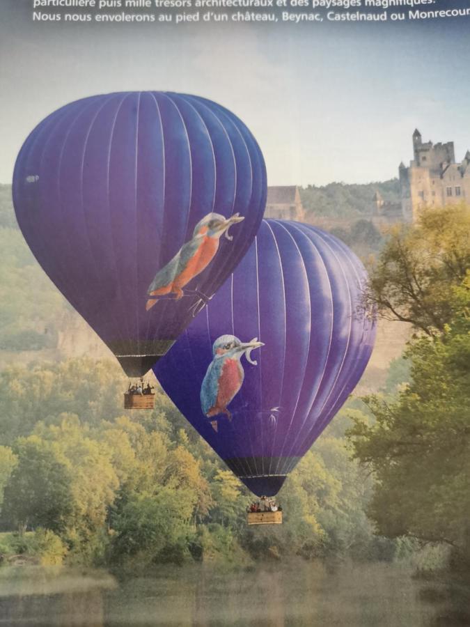 Gite La Borie Du Bois Sarlat Saint-Andre-d'Allas 外观 照片