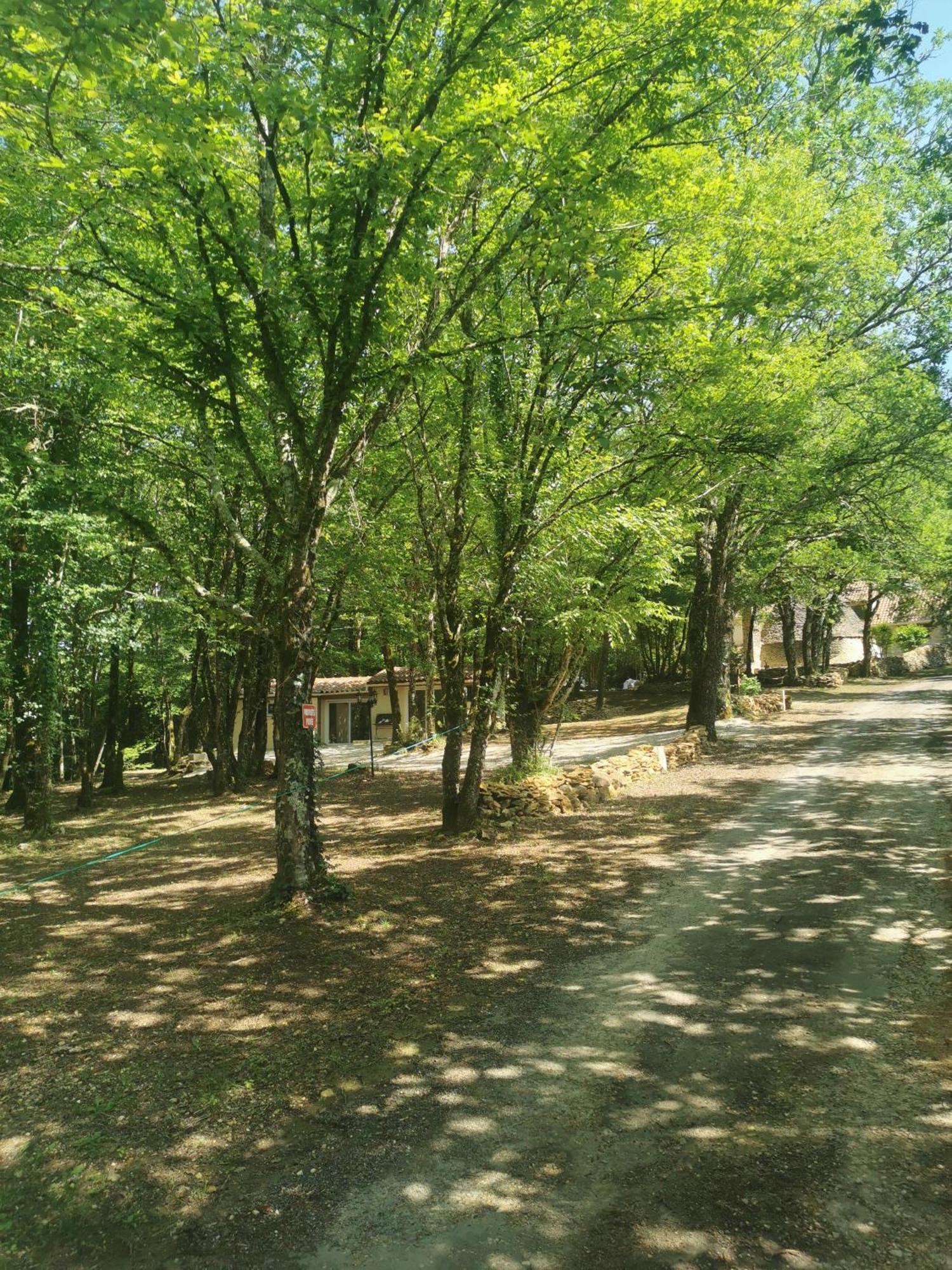 Gite La Borie Du Bois Sarlat Saint-Andre-d'Allas 外观 照片